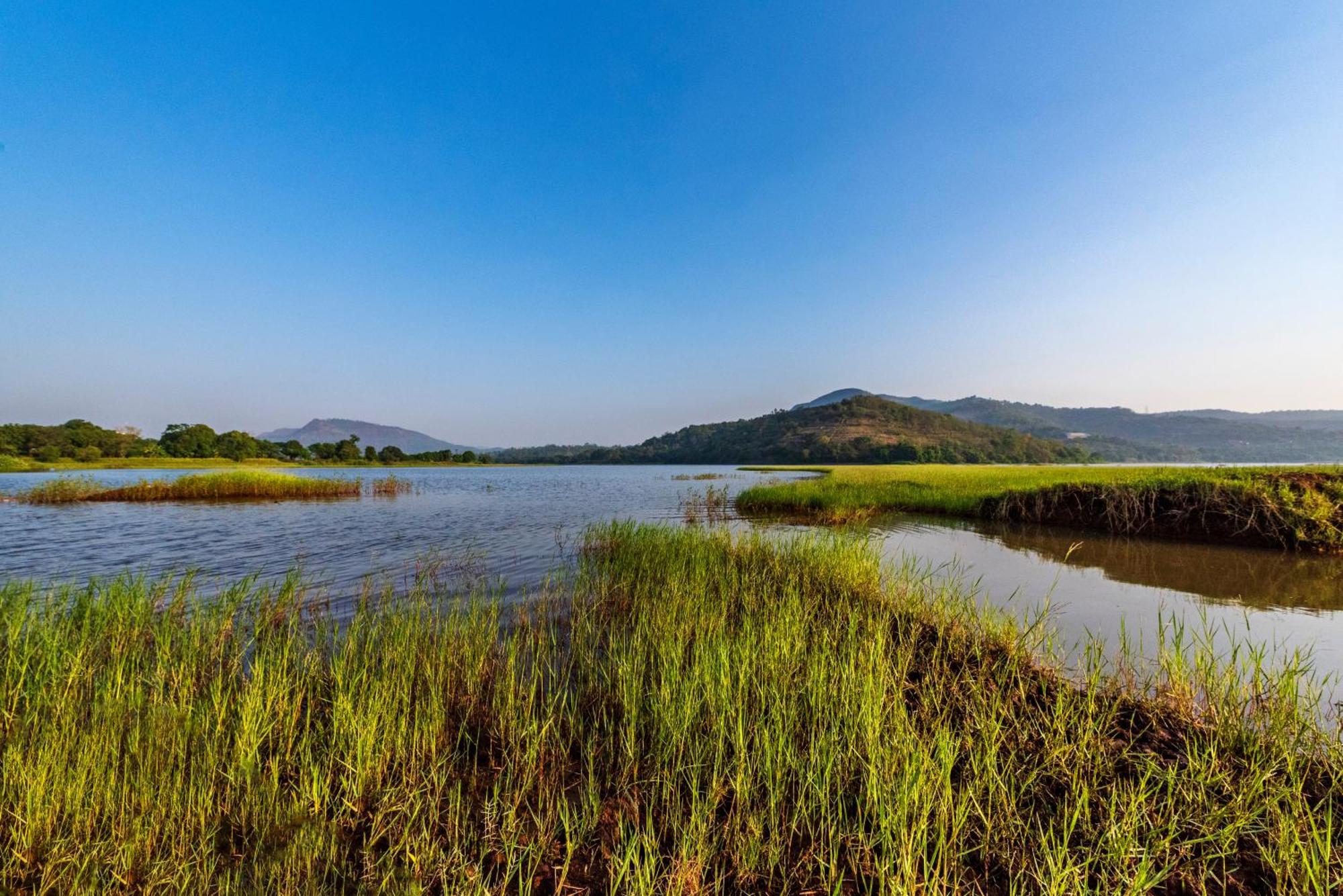 Saffronstays Lakeview Nivara - Farm Stay Villa With Private Pool Near Pune Exteriör bild